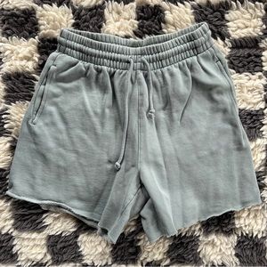 Aritzia TNA light blue cozy fleece sweat shorts